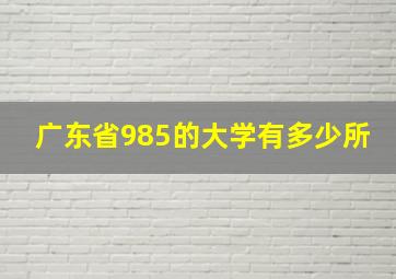 广东省985的大学有多少所