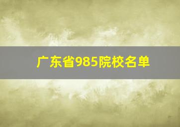 广东省985院校名单