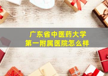 广东省中医药大学第一附属医院怎么样