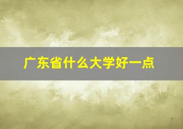 广东省什么大学好一点