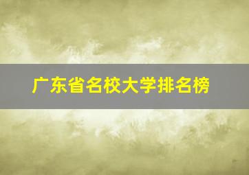 广东省名校大学排名榜