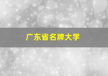 广东省名牌大学