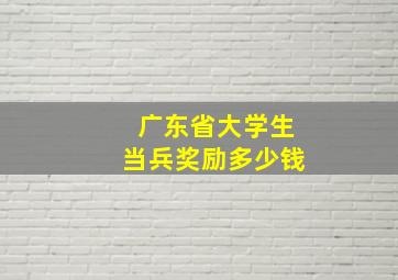 广东省大学生当兵奖励多少钱