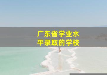 广东省学业水平录取的学校