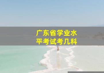 广东省学业水平考试考几科