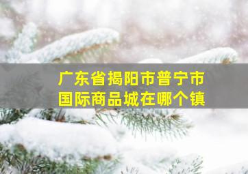 广东省揭阳市普宁市国际商品城在哪个镇