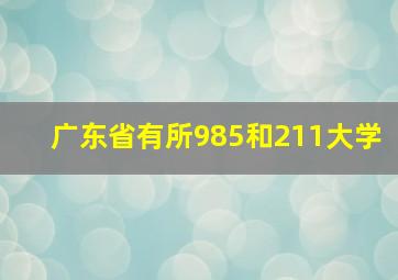 广东省有所985和211大学