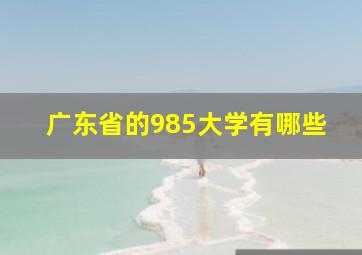 广东省的985大学有哪些