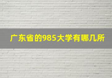 广东省的985大学有哪几所