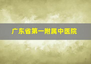 广东省第一附属中医院