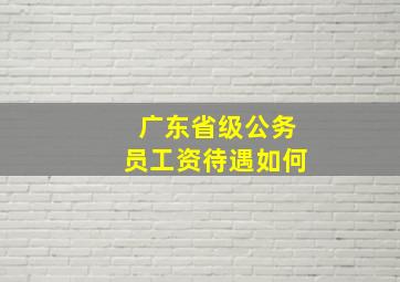 广东省级公务员工资待遇如何