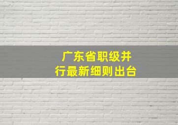 广东省职级并行最新细则出台