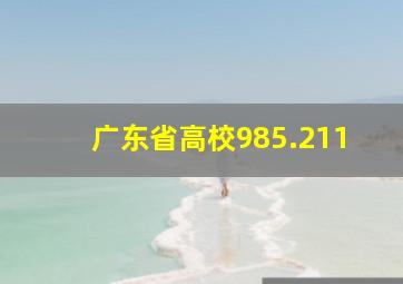 广东省高校985.211