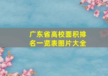 广东省高校面积排名一览表图片大全