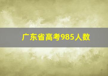 广东省高考985人数