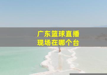 广东篮球直播现场在哪个台