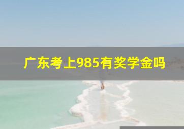 广东考上985有奖学金吗