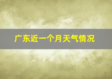 广东近一个月天气情况