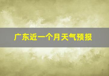 广东近一个月天气预报