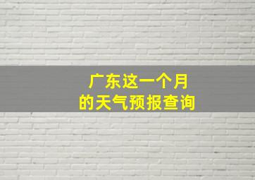 广东这一个月的天气预报查询