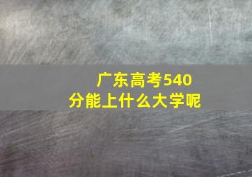 广东高考540分能上什么大学呢