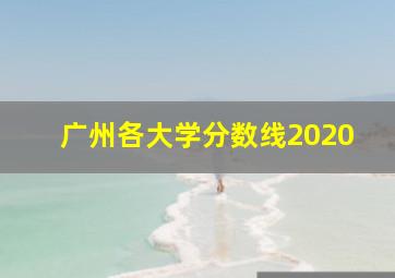 广州各大学分数线2020