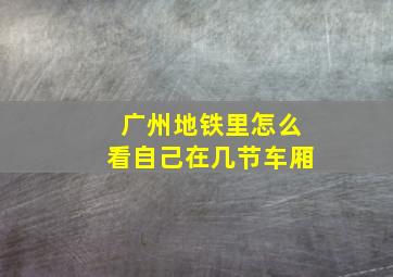 广州地铁里怎么看自己在几节车厢