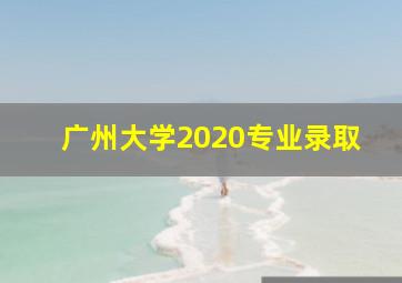 广州大学2020专业录取