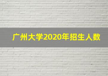 广州大学2020年招生人数