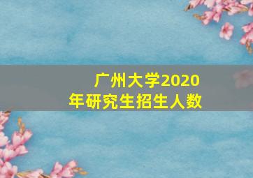 广州大学2020年研究生招生人数