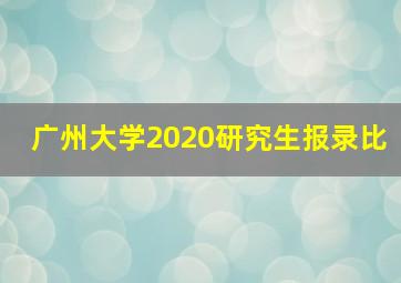 广州大学2020研究生报录比