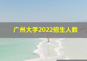 广州大学2022招生人数