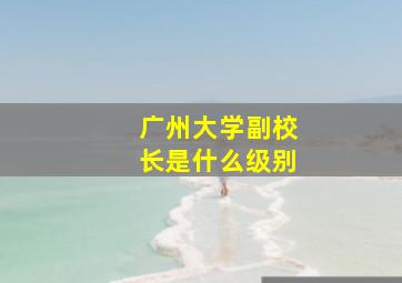 广州大学副校长是什么级别