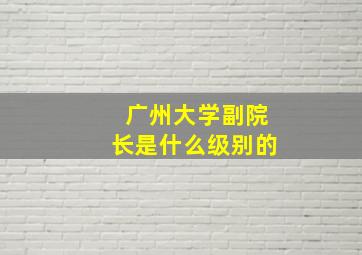 广州大学副院长是什么级别的