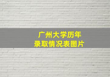 广州大学历年录取情况表图片