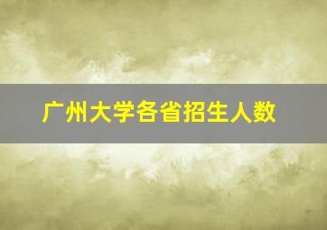 广州大学各省招生人数