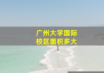 广州大学国际校区面积多大