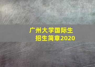 广州大学国际生招生简章2020