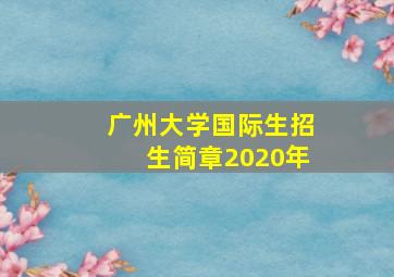 广州大学国际生招生简章2020年