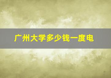 广州大学多少钱一度电