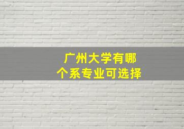 广州大学有哪个系专业可选择