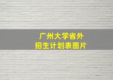 广州大学省外招生计划表图片