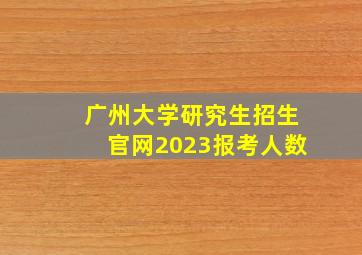 广州大学研究生招生官网2023报考人数