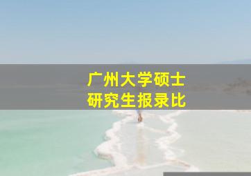 广州大学硕士研究生报录比