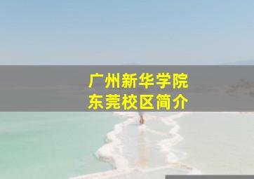 广州新华学院东莞校区简介