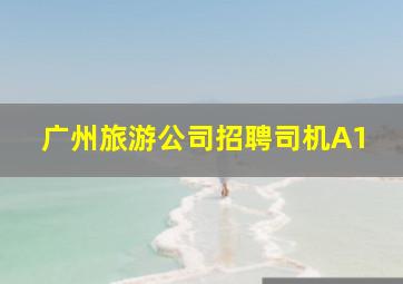 广州旅游公司招聘司机A1