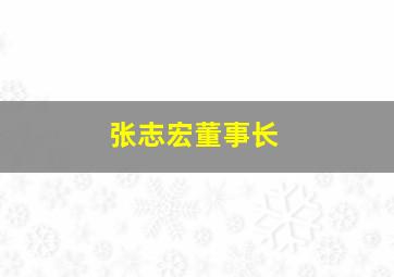 张志宏董事长