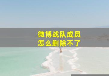 微博战队成员怎么删除不了