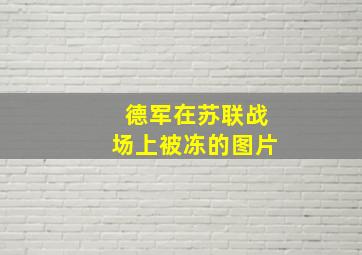 德军在苏联战场上被冻的图片