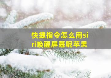 快捷指令怎么用siri唤醒屏幕呢苹果